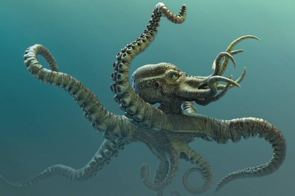 Kraken istand onion ссылка