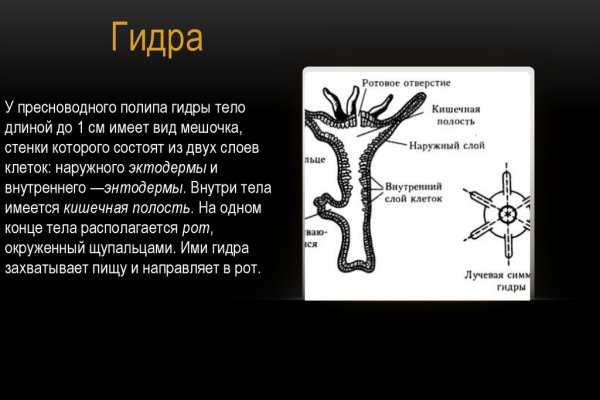 Kra23.at