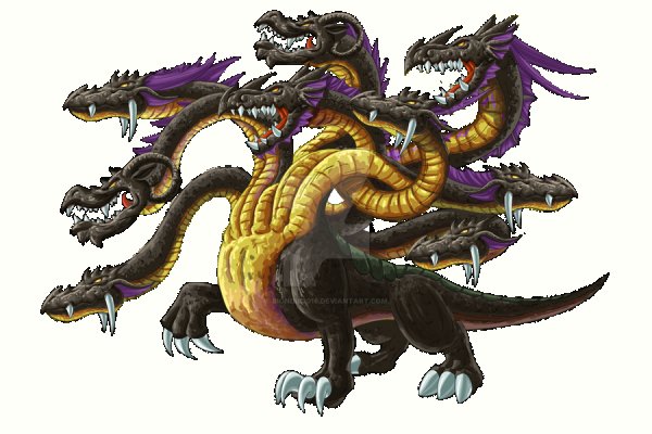 Kraken tor